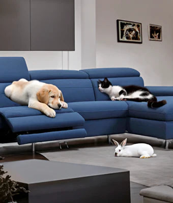How To Choose The Perfect Pet-Friendly Sofa Material